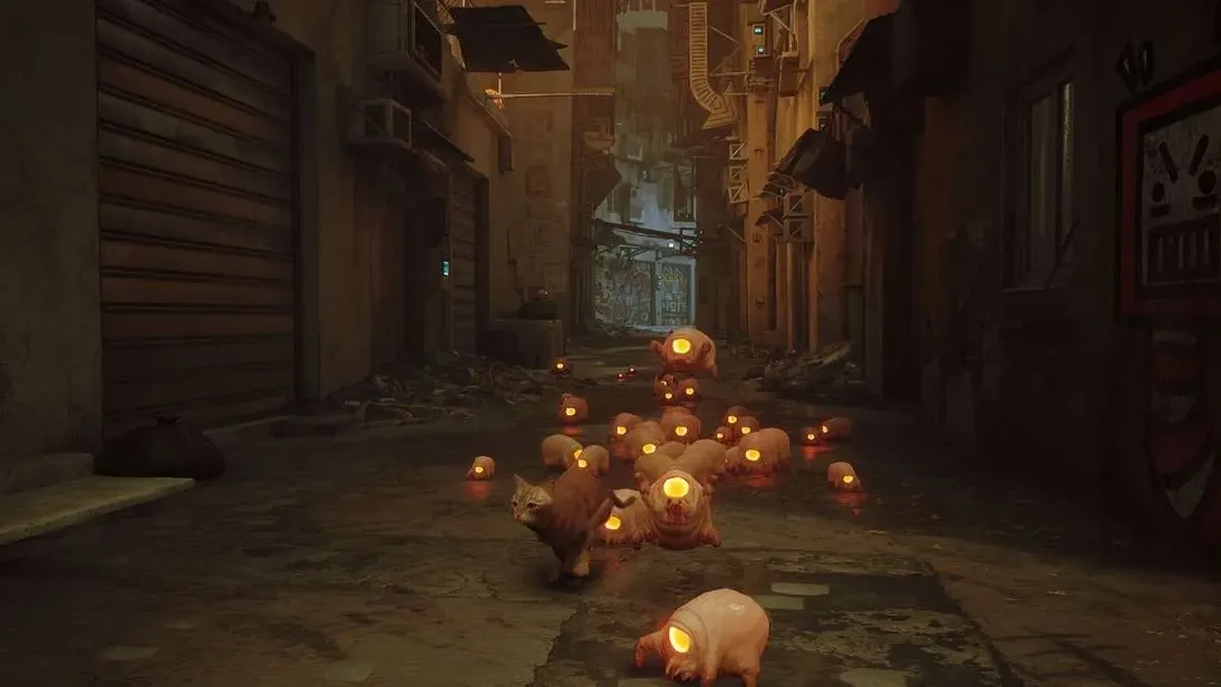 stray-nowa-switch-pl-kartridz