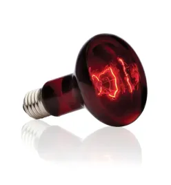 zarowka-exo-terra-exo-terra-infrared-basking-spot-100w-zarowka-czerwona