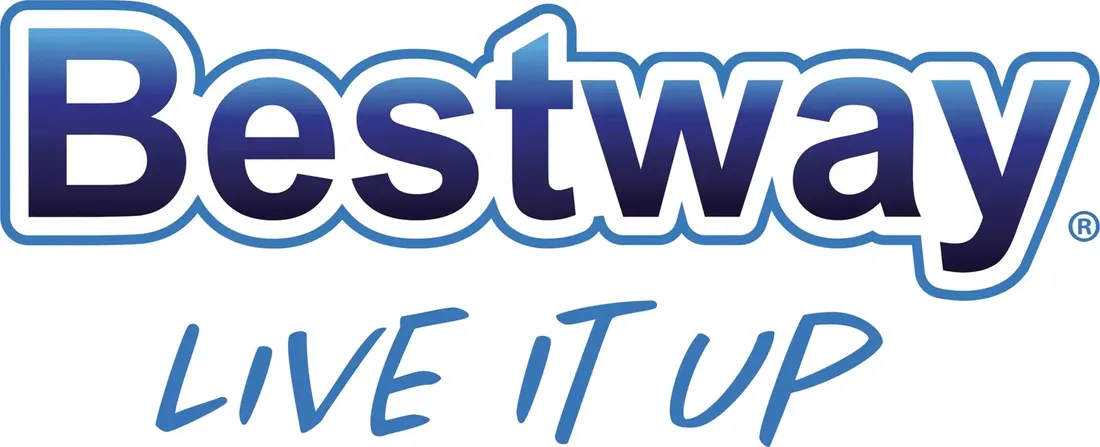 2-x-filtr-do-pompy-typ-vi-basenu-spa-bestway-60311