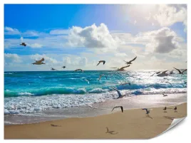 fototapeta-do-sypialni-salonu-plaza-morze-ocean-mewy-krajobraz-3d-450x300