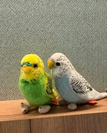 beppe-papuga-falista-maskotka-pluszowa-przytulanka-zabawka-jak-zywa-13cm