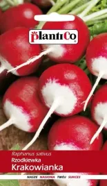 rzodkwie-i-rzodkiewki-krakowianka-nasiona-10-g