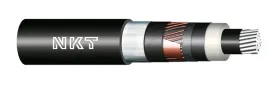 kabel-energetyczny-xruhakxs-1x70-25