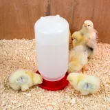 poidlo-dla-drobiu-1l-green-marka-ideal