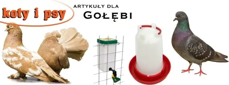 pasnik-dla-krolikow-pk-20-rodzaj-pasnik