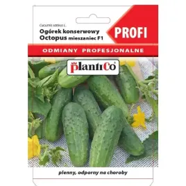 ogorek-konserwowy-octopus-f1-15-g-plantico