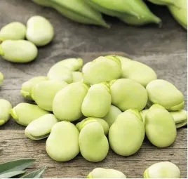 bob-bolero-bardzo-smaczny-wczesny-nasiona-50-g