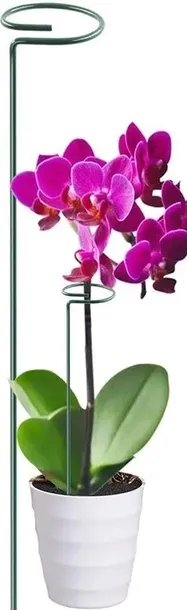 podpora-do-roslin-40-cm-ros05wz3-material-dominujacy-metal