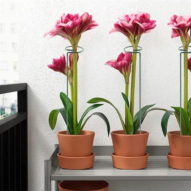 podpora-do-roslin-40-cm-ros05wz3-liczba-sztuk-1-szt