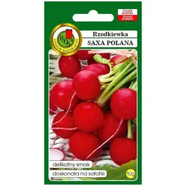 pnos-rzodkiewka-saxa-polana-10g