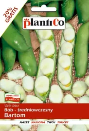nasiona-bob-bartom-sr-wczesny-bardzo-plenny-60g