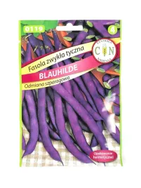 fasola-fioletowa-blauhilde-wczesna-fasolka-szparagowa-swieze-nasiona