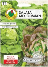 mieszanka-salat-lisciowych-na-tasmie-smaczna-mix