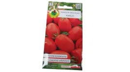 pomidor-pnos-pomidor-gruntowy-kmicic