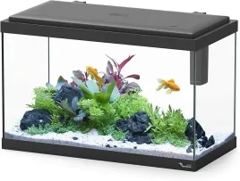 aquatlantis-aquarium-explorer-rome-nowoczesne-akwarium