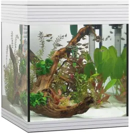 askoll-aa350046-pure-led-akwarium-z-timerem-i-sciemniaczem