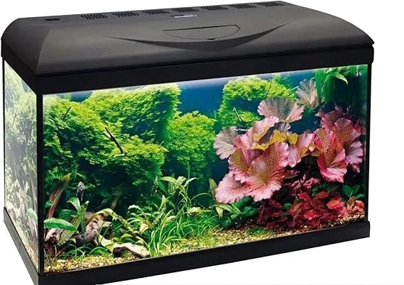 amtra-wave-a2001842-basic-60-led-pelne-oswietlenie-led