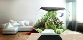 askoll-280670-nexus-5c-betta-life-eleganckie-akwarium-do-wnetrz