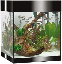 askoll-aa350047-pure-aquarium-kit-led-nowoczesne-akwarystyka