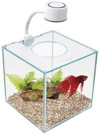 marina-betta-kit-akwarium-nowoczesny-design-w-kostce