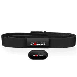 polar-equine-pulse-sensor-for-horse-gait-analysis-track-your-horse-s-heart