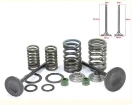 zawory-glowicy-atv-250-cg-komplet-wysokiej-jakosci-stal-precyzyjne