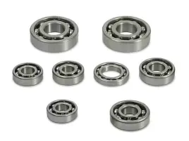 zestaw-lozysk-kulkowych-do-silnika-mz-etz250-251-300-301-8-sztuk