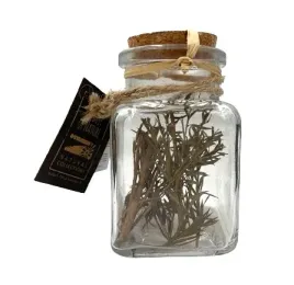 westwing-suszone-kwiaty-w-butelce-10-cm