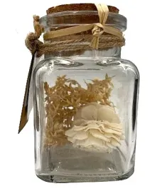 westwing-suszone-kwiaty-w-butelce-10-cm