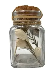 westwing-suszone-kwiaty-w-butelce-10-cm