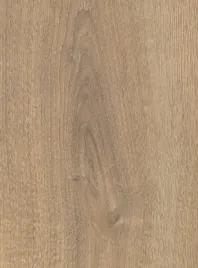 panele-podlogowe-wild-wood-gold-plus-dab-piaskowy-ac6-12mm-opak-165-m2