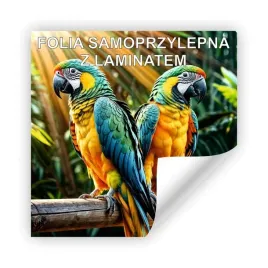 folia-naklejka-z-nadrukiem-1mkw-plus-laminat