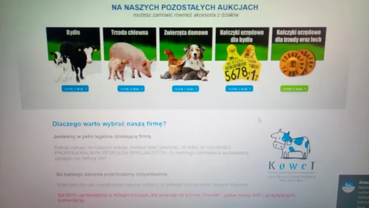 folia-naprawcza-do-balotow-biala-kerbl-stan-nowy-waga-z-opakowaniem-0-2-kg