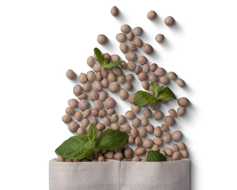 nature-solution-cherrypad-wklad-do-termoforu-mieta-i-eukaliptus