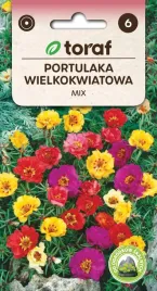 portulaka-wielkokwiatowa-mix-nasiona-kwiatow-623-toraf