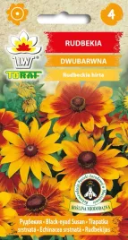 rudbekia-dwubarwna-nasiona-kwiatow-633-toraf