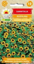 sanwitalia-rozeslana-zolta-z-czarnym-srodkiem-nasiona-kwiatow-635-toraf