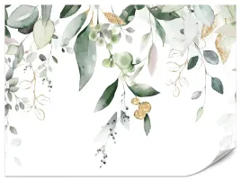 fototapeta-do-salonu-sypialni-akwarelowe-liscie-eukaliptus-natura-450x300