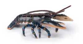 figurka-kolekcjonerska-homar-papo