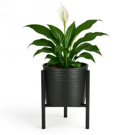 kwietnik-stojacy-na-kwiat-z-doniczka-czarna-i-wkladem-polski-producent-3w1