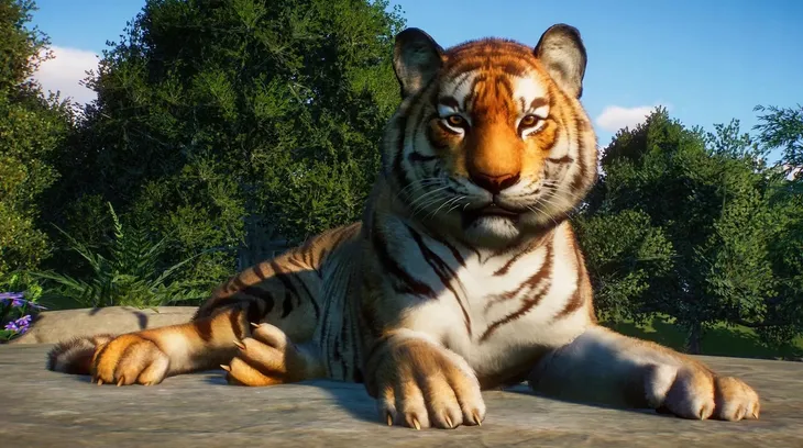 planet-zoo-pl-pc-klucz-steam-stan-nowy