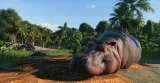planet-zoo-pl-pc-klucz-steam-minimalna-liczba-graczy-1