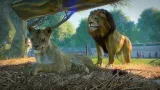 planet-zoo-pl-pc-klucz-steam-wersja-jezykowa-angielska-polska