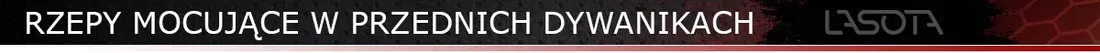 dywaniki-samochodowe-bmw-x1-e84-2009-2015-haft-performance