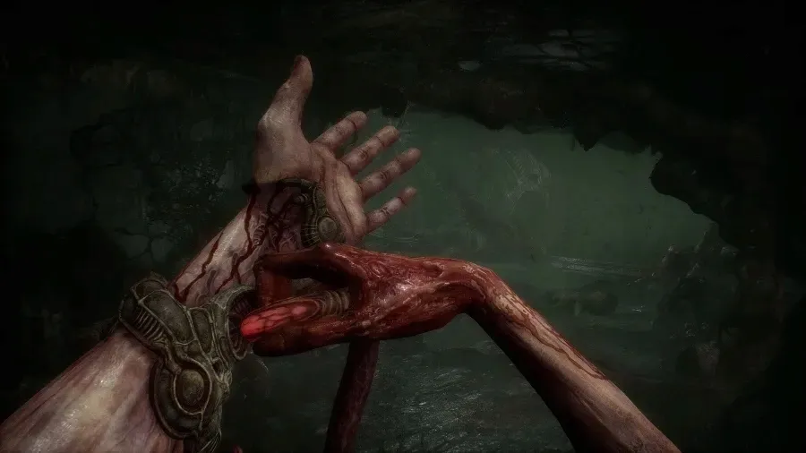 scorn-pc-klucz-epic-games-tematyka-gry-akcji