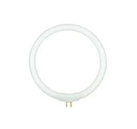 2-x-lampa-t4-12w-zarowka-swietlowka-do-lampy-warsztatowej-z-lupa-nar0298-re