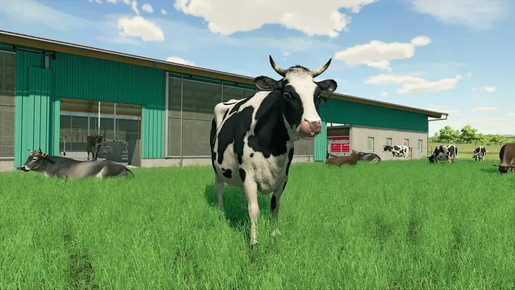 farming-simulator-22-year-1-bundle-pc-klucz-steam-system-operacyjny-windows