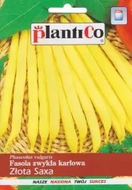 nasiona-fasola-szparagowa-karlowata-zlota-saxa-48g-plantico-zolta-407657
