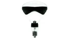 2-x-2-x-promiennik-podczerwieni-philips-infra-red-375w-e27-r125-230v-przezr