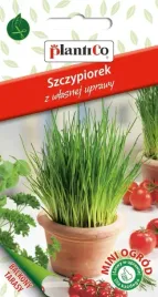 nasiona-szczypiorek-wulkan-1g-plantico-na-balkon-taras-426399